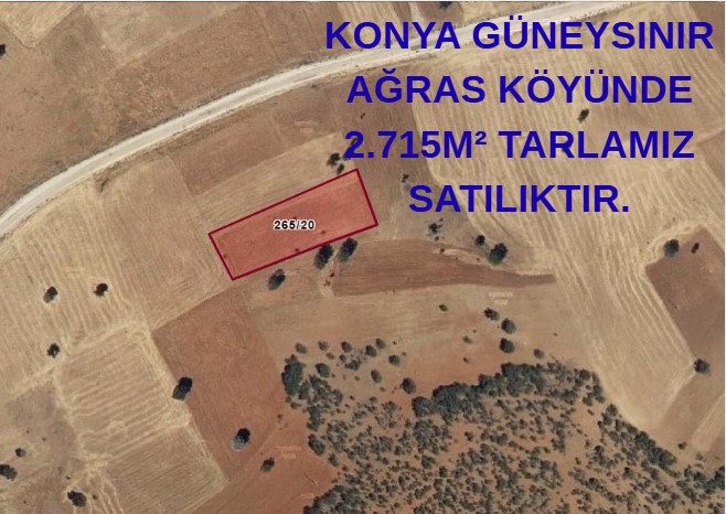 KONYA GÜNEYSINIR AĞRAS KÖYÜNDE 2.715M² TARLAMIZ SATILIKTIR. - KONYA GÜNEYSINIR fotoğraf 6
